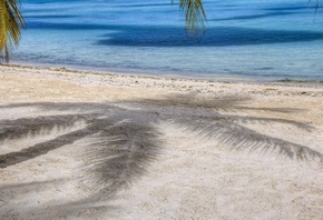 ����� �����, ����, ����