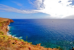 ������� ����, �����, ������