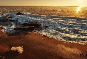 ������� �������, ����, �����