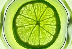 ������, ����, ����������