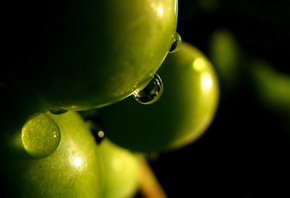 ������ ������, �������, �����