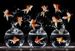 ���������, �������, ������� �����