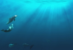 море, лучи солнца под водой, дельфины