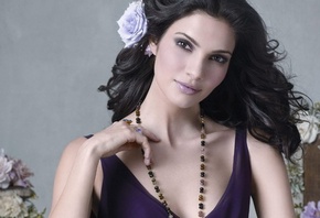 ������� ��������, ����������  ����� ����, ����� �����