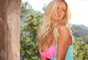 ���������, ������������� ���������, ���������� �������