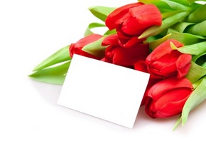 букет красных тюльпанов, записка, пожелания