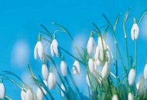 ������������, ����� �����������, ������� �����