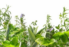 ��������, ������, ������