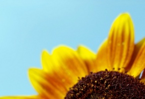 ������ ��������, ���������, ����