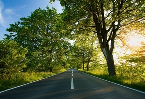 ������� �����, ������ ������