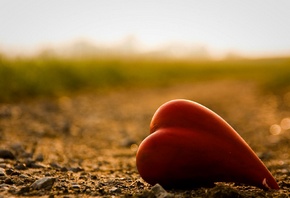 �����, ����������, �� ���� ������