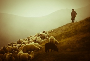 ����� ����, ����, ������