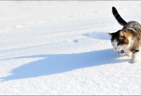 ��� �� �����, ����, �����