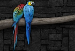 �������, �������, �����, �������