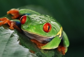 �������, ������� ������, ������� ����� � �����