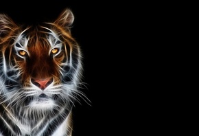 ������������ �������, ����, ���������� �����