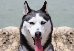 ��������� ���, ������� ����, ����� ����� ��������