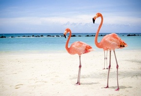 ������� ��������, �� ������ ������, �����