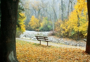 �������� �������, ������� ������, ��������