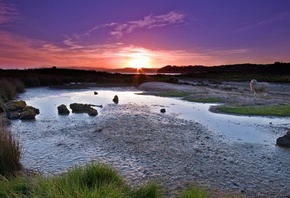 ����������, ������, ������� ������