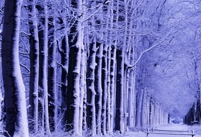 зима, аллея в снегу, мостик