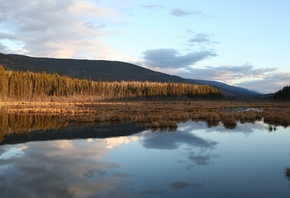 ����������� ����� ����. ��������� ���������, ��������� � �����