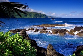 тропические острова, голубая водичка, пальма