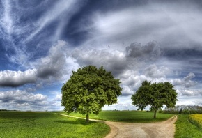 изумительное небо, пушистые деревья, полевая дорога