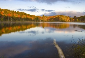 расцвет осенью, лесной массив, зеркально озеро