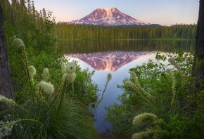 ���� �� ������, �������� ���, ����������