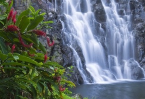 шикарный водопад, тонкие струи воды, растения на берегу