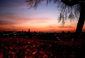 ������� ����, ������, ������