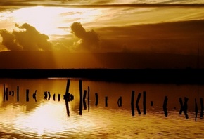 ����� ����, ���� �� ����, ������