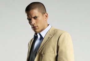  , wentworth miller, , ,  , michael sco ...