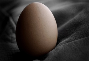 ���� � ����, ����, ���������