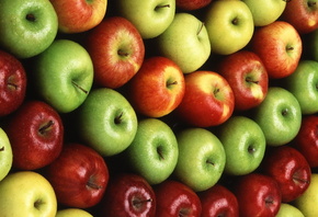 Яблоки, красные, желтые, зеленые, сочные, спелые, фрукты