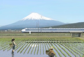 Train, рисовое поле, поезд, фудзи