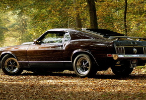 musclecar, ����, Mustang, �����