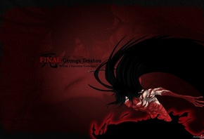 ,  shinigami,  getsuga tenshou, , 