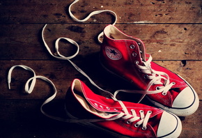 �������, ������� ����, 365, ����