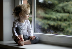 �� �����������, �����, ��������