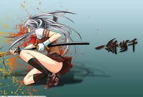 ����, �������, ������, Ikkitousen, ���