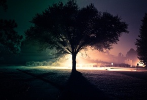 ����, ������, �����, ������, ����