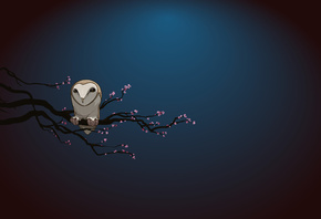 ����, ����, �����