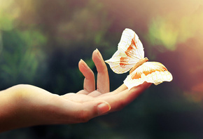 �����, �������, ������� ��������