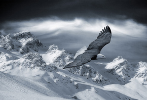 ����, ����, ����, ����, �����