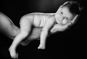 �����, ����, ����