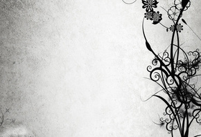 �����, ������, �����