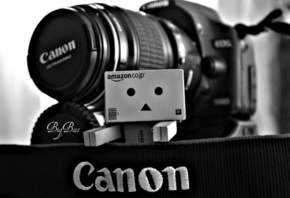 Danbo, canon, фотоаппарат, коробочка
