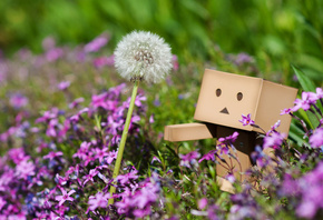 Danbo, , , , , , , 